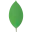 MongoDB